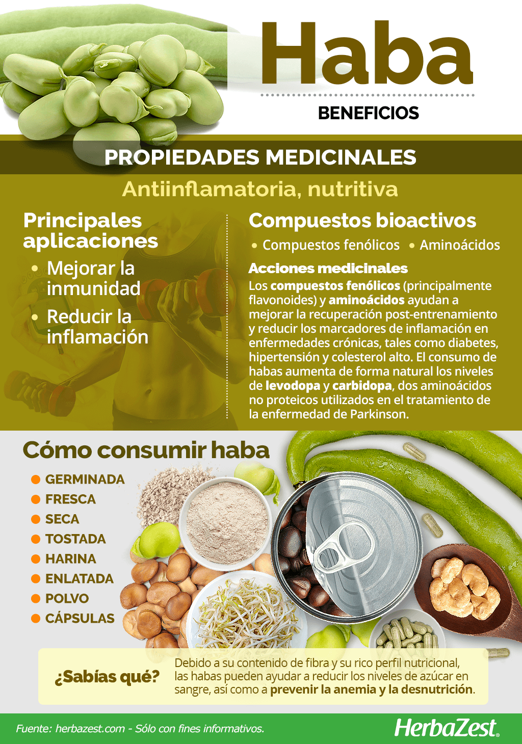 Beneficios del haba