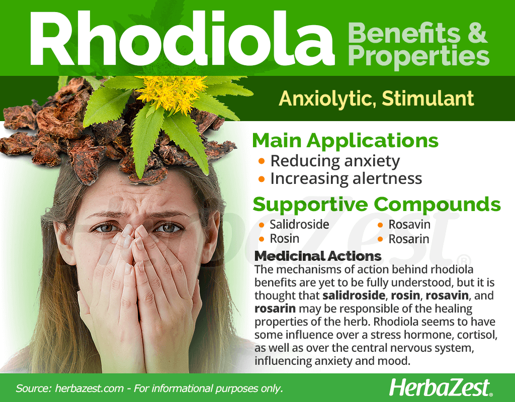 Rhodiola Benefits and Properties