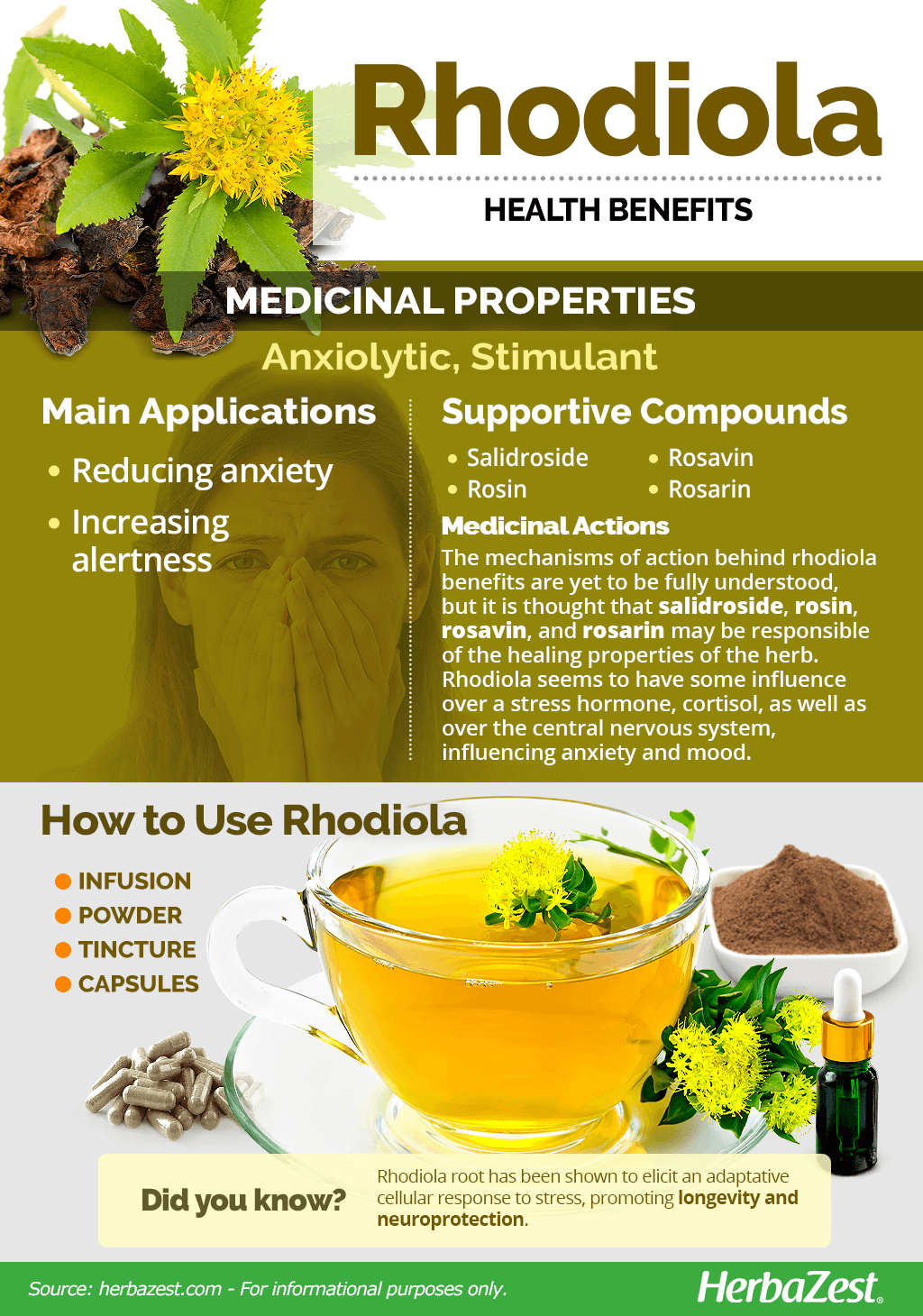 All About Rhodiola