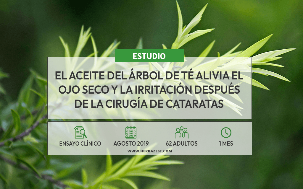 El aceite del árbol de té alivia el ojo seco