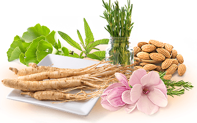 Ginseng | HerbaZest