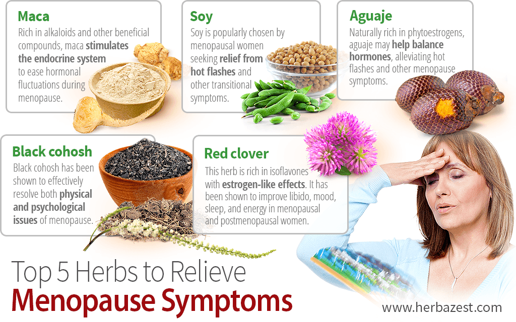 Herbal remedies for menopause symptoms