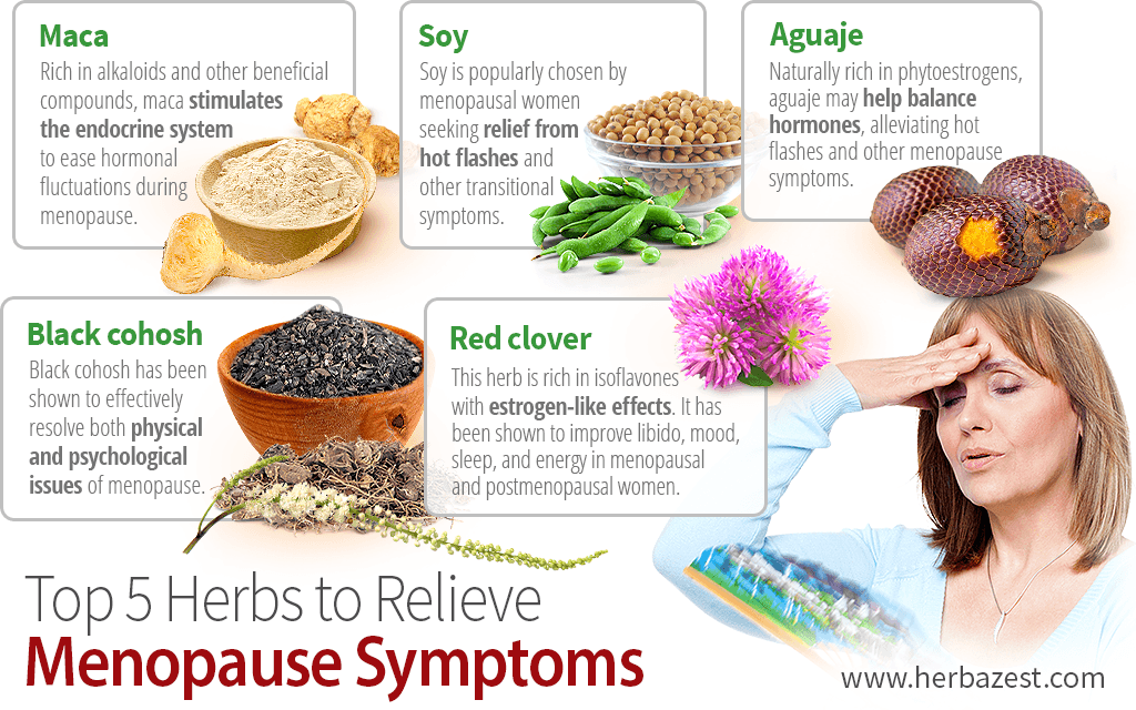 Top 5 Herbs To Relieve Menopause Symptoms HerbaZest