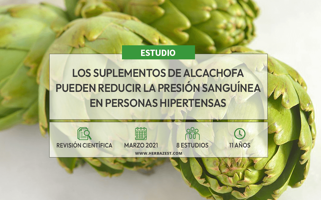 La alcachofa puede ayudar a tratar la hipertensión