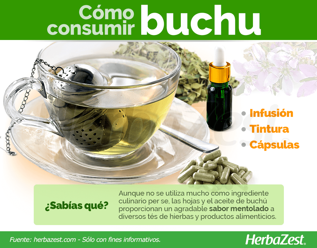 Cómo consumir buchú