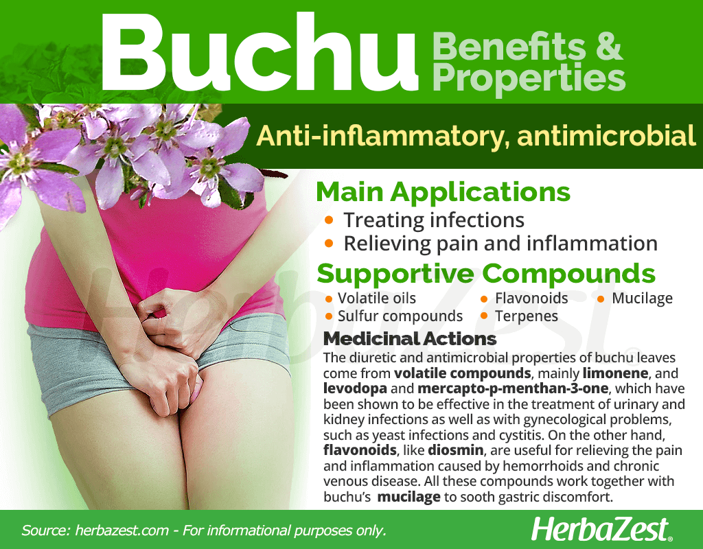 Buchu Benefits and Properties