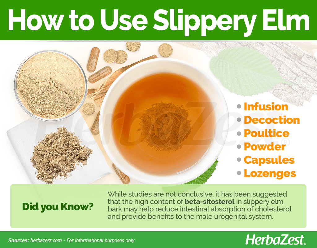 Slippery Elm: Benefits, Side Effects, and More