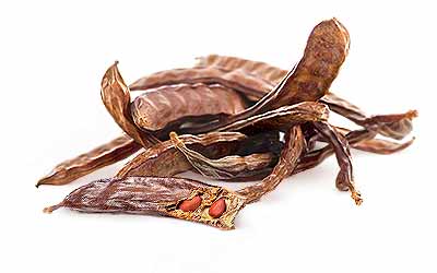 Male Fertility Improved by Carob Consumption HerbaZest