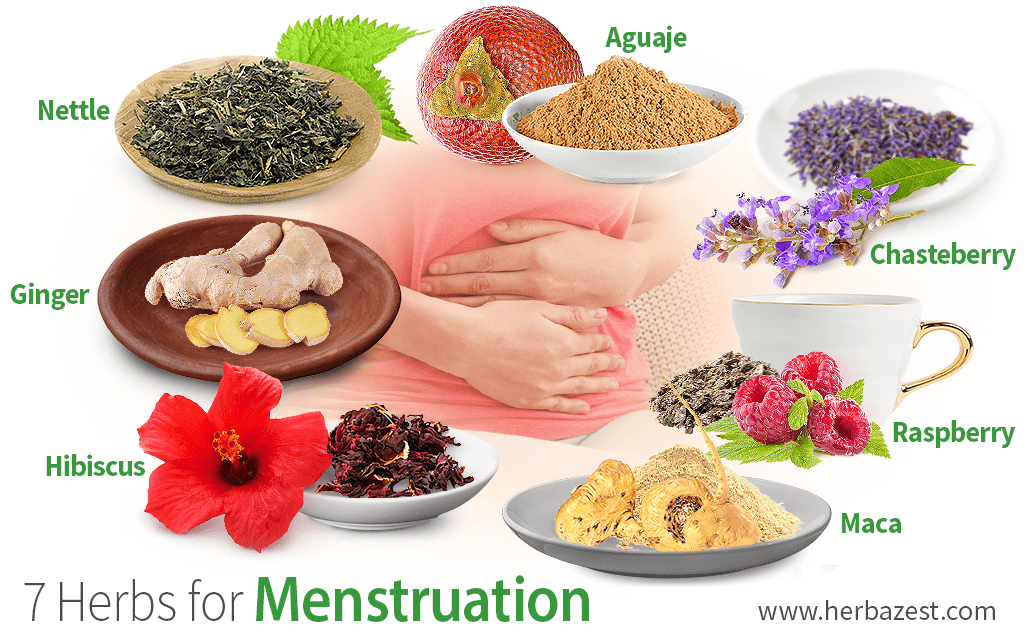 Herbal remedies for menstrual cramps