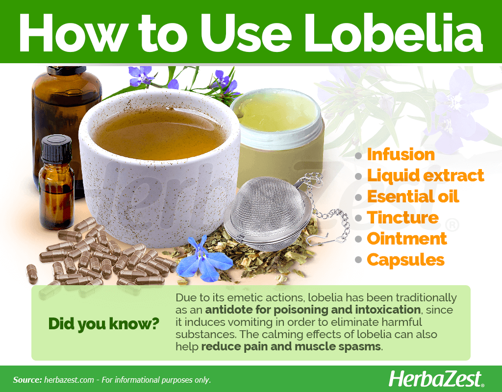 How to Use Lobelia