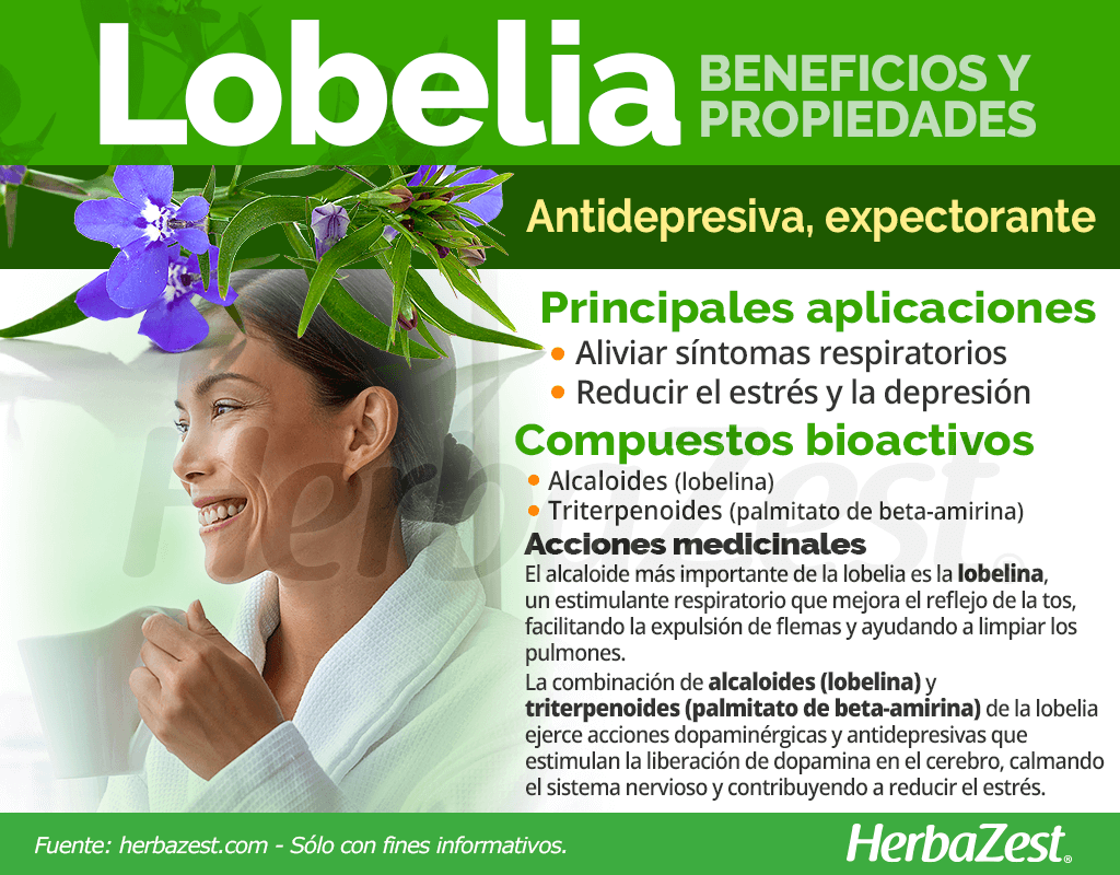 Beneficios y propiedades de la lobelia