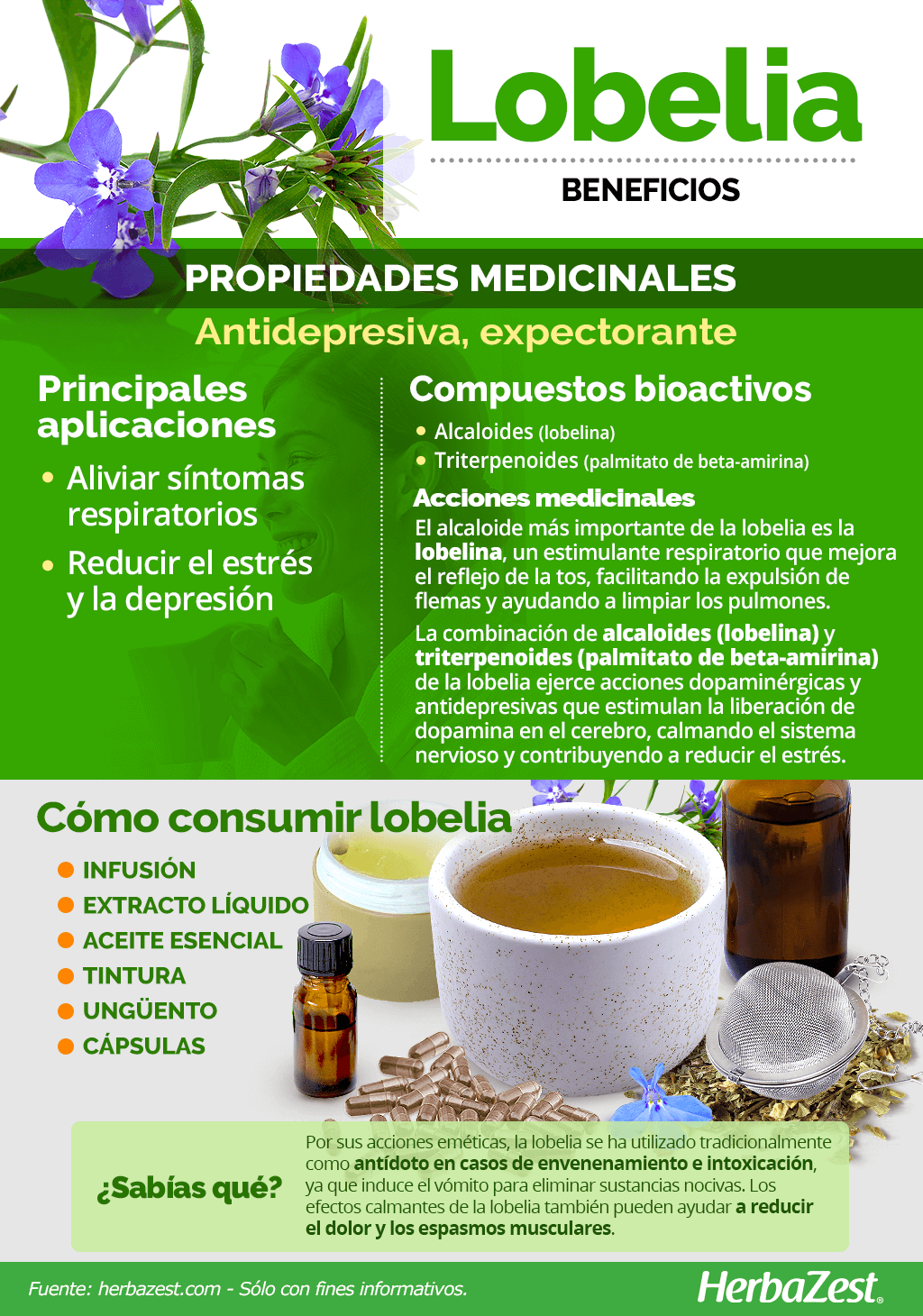 Beneficios de la lobelia