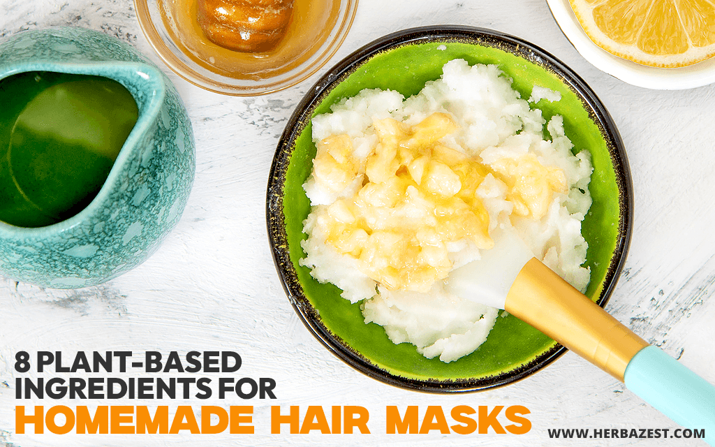 8 Plant-Based Ingredients for Homemade Hair Masks