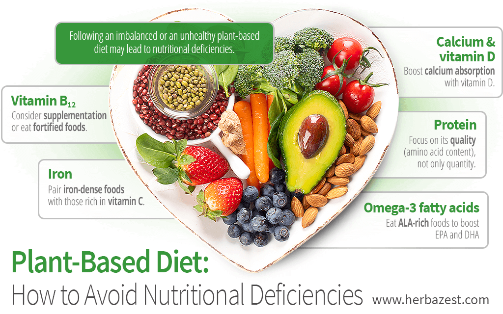 Plant-Based Diet: Common Nutritional Deficiencies How to Avoid