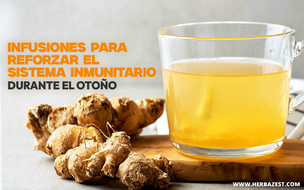 Infusiones para reforzar el sistema inmunitario durante el otoño