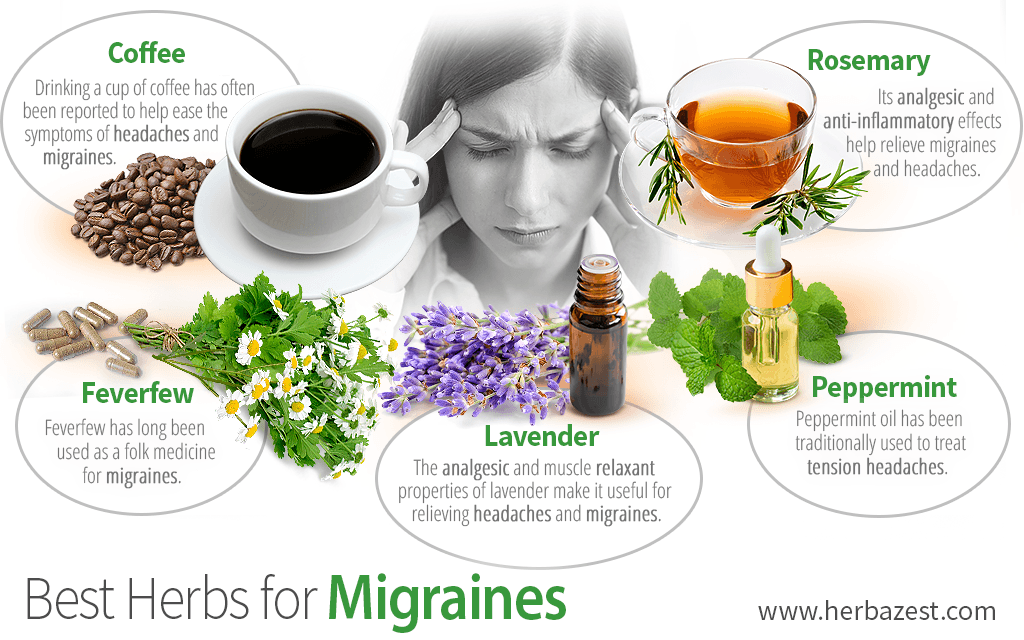 Herbal tea for headaches