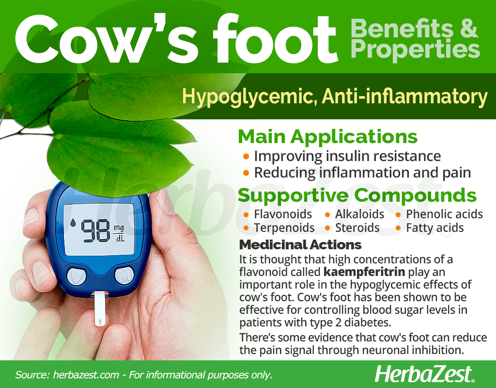 Cow's Foot Benefits and Properties