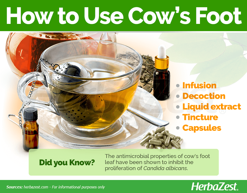 How to Use Cow's Foot