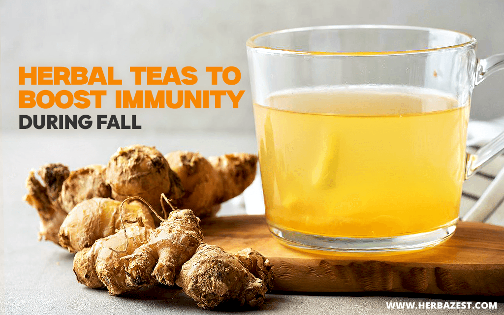 Top 10 Herbal Teas to Boost Immunity During Fall