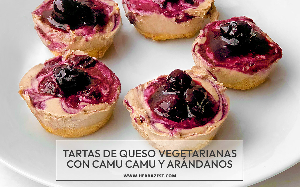 Tartas de queso vegetarianas con camu camu y arándanos