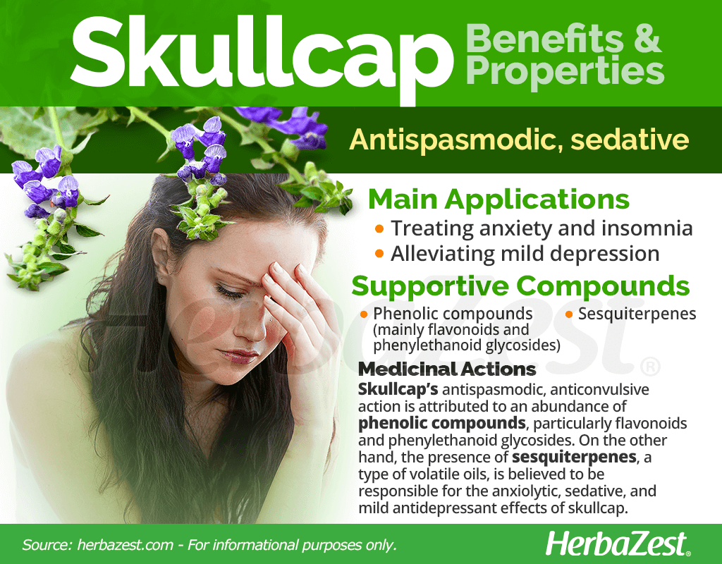 Skullcap Benefits and Properties