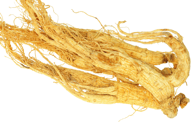 New Study: Ginseng Found to be Effective Against Influenza