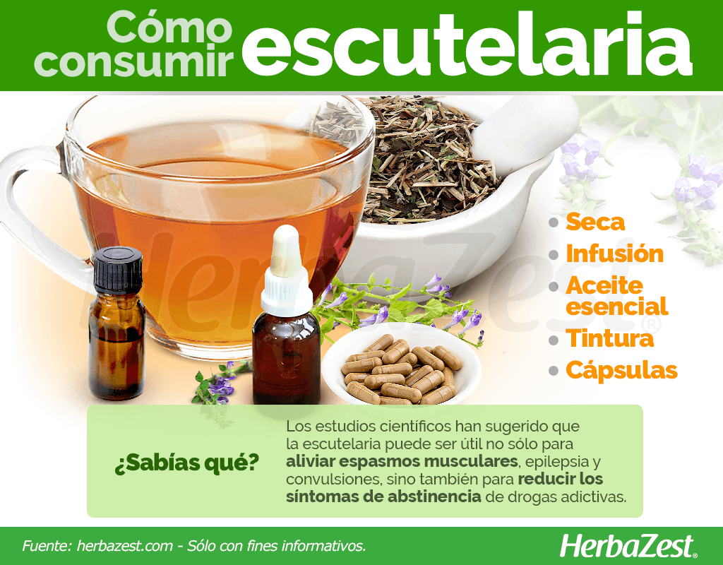 Cómo consumir escutelaria