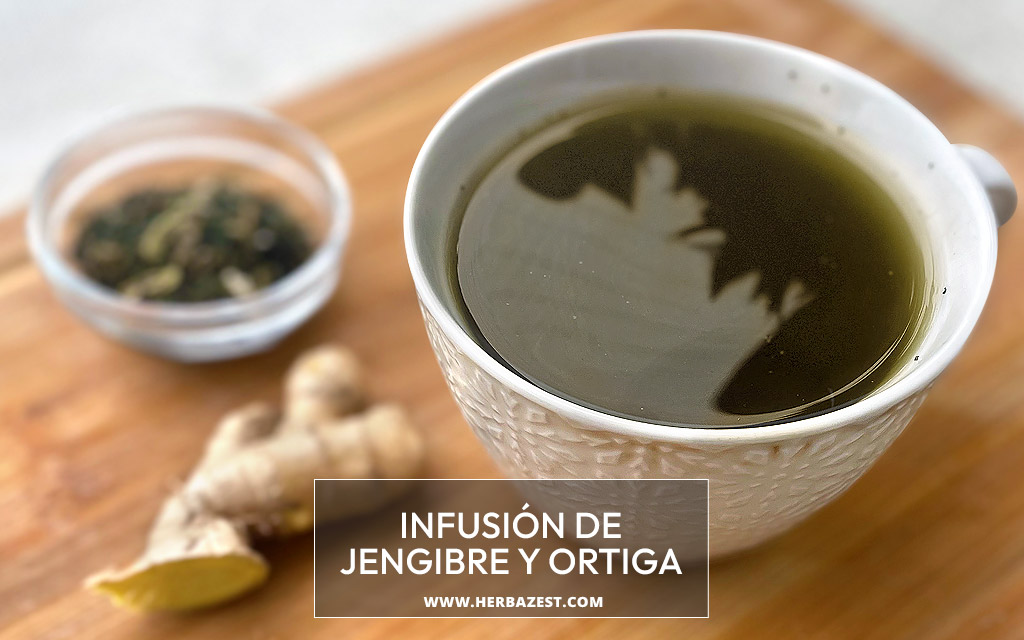 Infusión de jengibre y ortiga