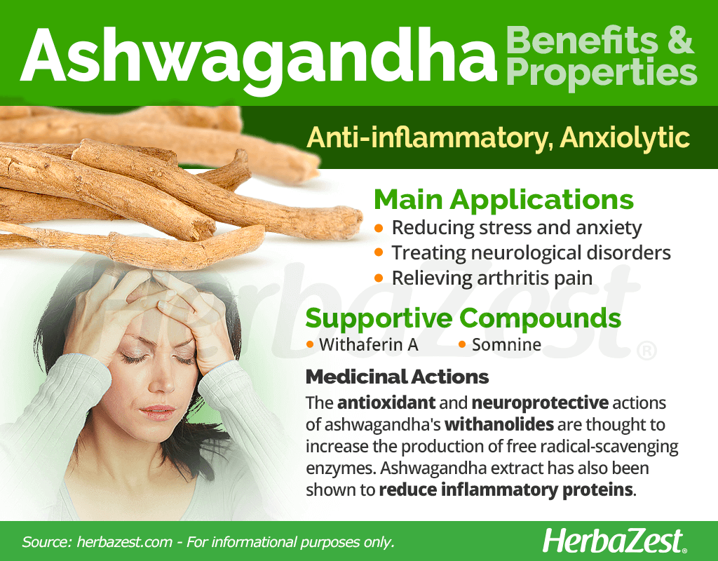 Ashwagandha HerbaZest