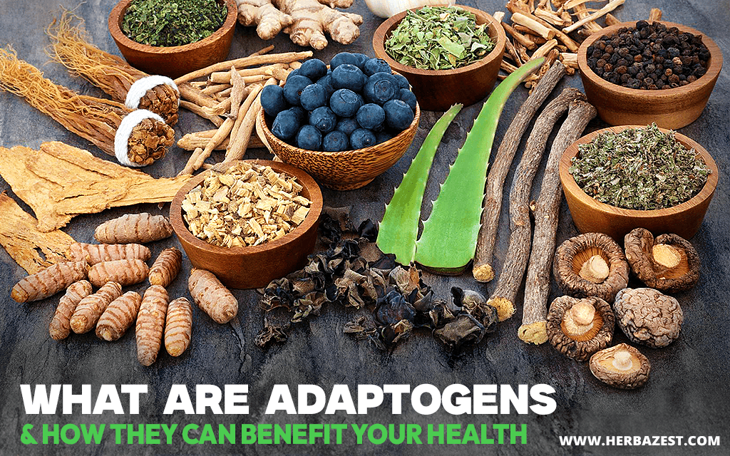What Are Adaptogens & How They Can Benefit Your Health