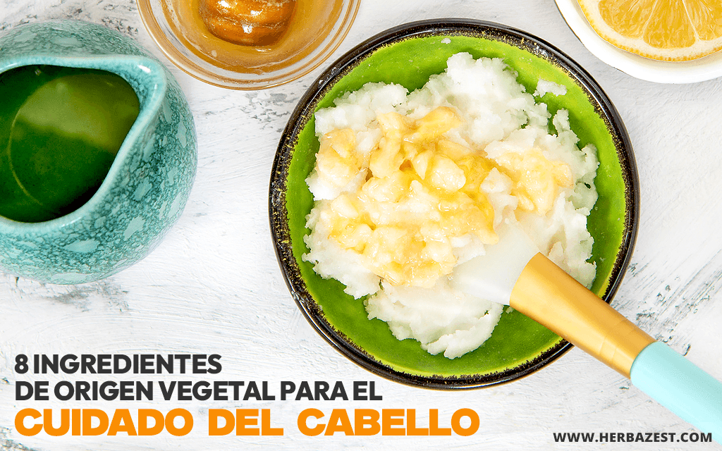 8 ingredientes de origen vegetal para el cuidado del cabello