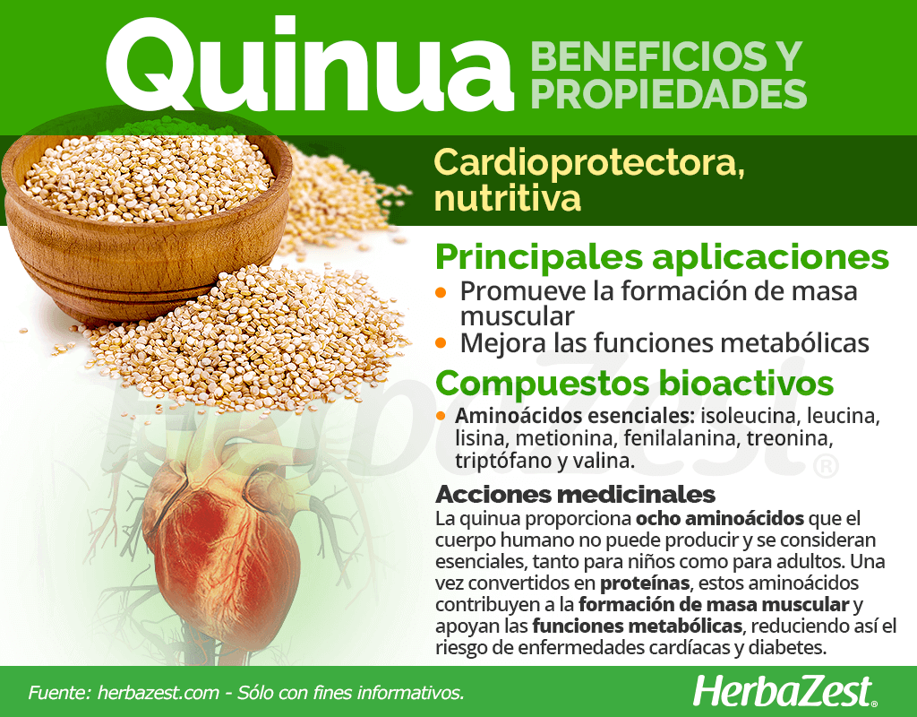 Beneficios y propiedades de la quinua