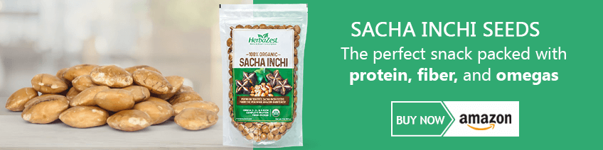 Sacha Inchi Seed Pesto | HerbaZest